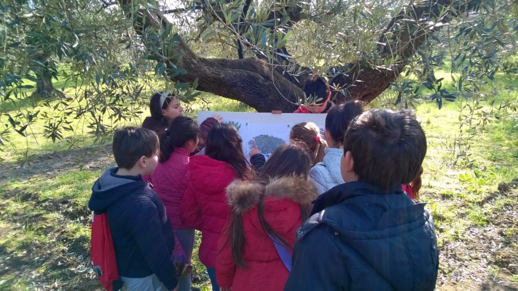 mio-padre-e-un-albero-dall-assaggio-al-paesaggio